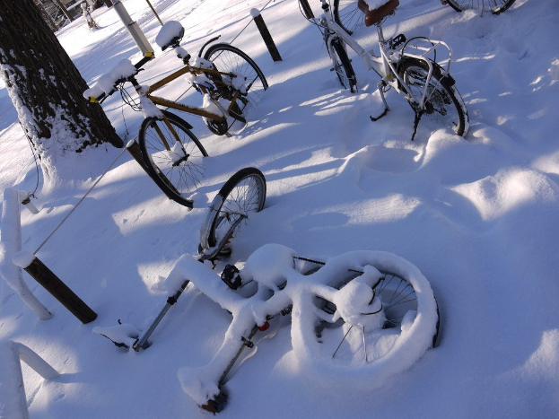 Eine Reihe von Fahrrädern, teilweise von Schnee bedeckt, neben einem Baumstamm und einer Straße geparkt.