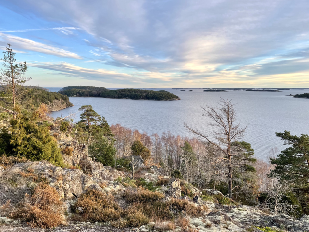 Ein malerischer Ausblick von einem Hügel auf einen See mit Bäumen, Pflanzen und Felsen im Vordergrund und einem bewölkten Himmel im Hintergrund.