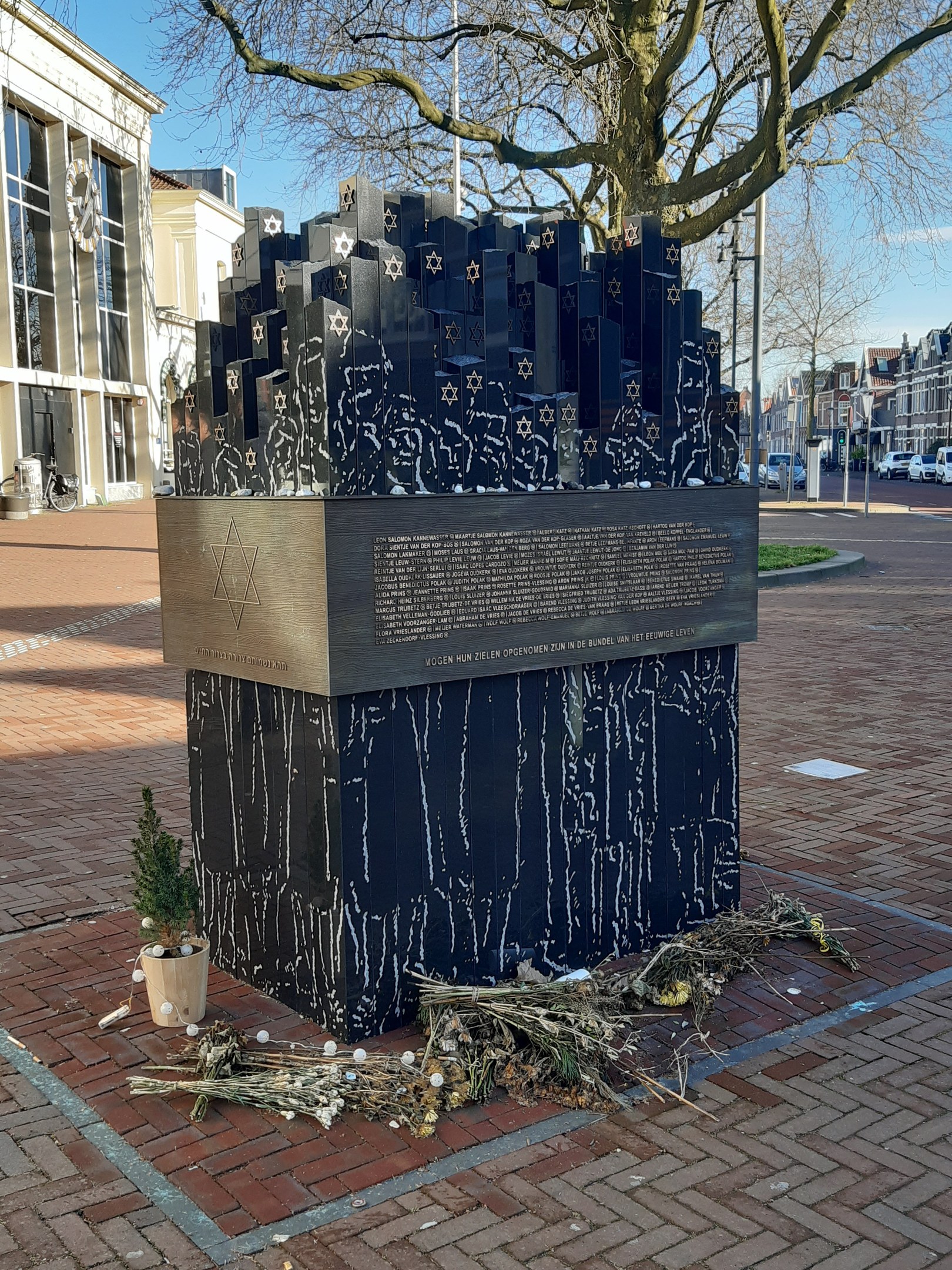 Denkmal in einem Stadtplatz für Holocaust-Opfer mit einem Baum davor, einem Topf mit einer Pflanze, verstreuten trockenen Blättern und Gebäuden, Fahrzeugen und Bäumen im Hintergrund.