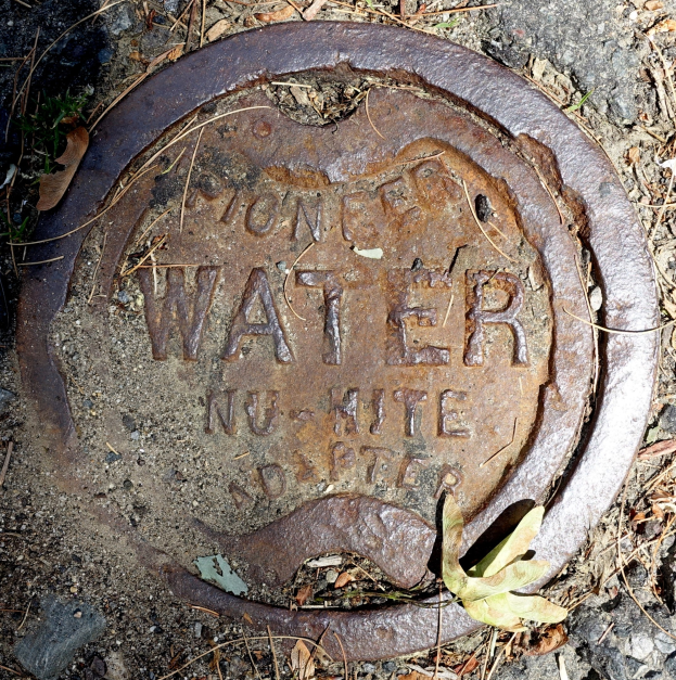 Abflussdeckel mit Aufschrift "Wasser" auf dem Boden umgeben von trockenen Blättern und Gras.