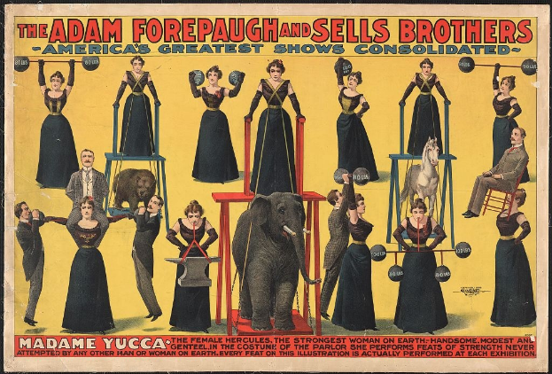 Plakat für die konsolidierte Zirkus-Show von Adam Forepaugh und Sells Brothers mit Performern auf Hockern und einem zentralen Elefanten mit Text.