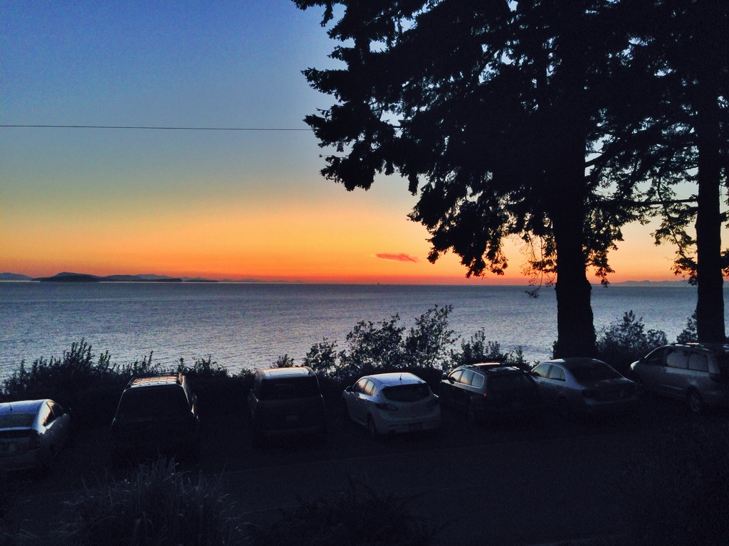 Eine friedliche Küstenansicht mit zwei Bäumen und einigen Pflanzen im Vordergrund, einem Meer in der Mitte und einer Reihe geparkter Autos im Hintergrund.