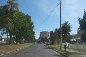 Eine belebte Straße mit verschiedenen Fahrzeugen, gesäumt von Gras, einem Zaun, elektrischen Pfählen mit Drähten, Bäumen, Bänken und Gebäuden mit Fenstern unter einem hellblauen Himmel.
