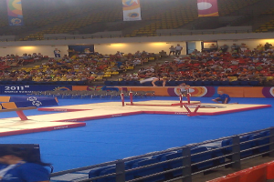 Eine Stadion-Szene mit Menschen auf Stühlen, anderen im Hintergrund, Werbetafeln oben, Treppe in der Mitte und einer Person, die in der Mitte Gymnastik macht.