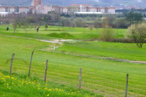 Golfplatz mit saftig grünem Gras, hohen Bäumen, gelben Blumen im Vordergrund, Gebäuden und wolkenlosem Himmel im Hintergrund sowie Menschen beim Golfspielen.