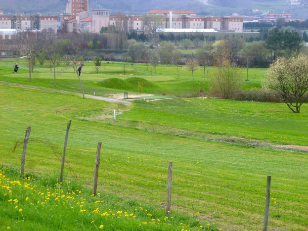 Golfplatz mit saftig grünem Gras, hohen Bäumen, gelben Blumen im Vordergrund, Gebäuden und wolkenlosem Himmel im Hintergrund sowie Menschen beim Golfspielen.