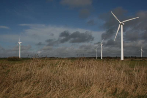 Ein Feld von Windkraftanlagen in einer grasbewachsenen Fläche mit Bäumen im Hintergrund und Wolken am Himmel, wahrscheinlich ein Windpark in den Niederlanden.
