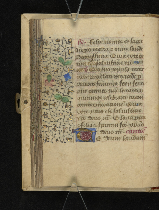 Ein aufgeschlagenes Buch, das eine Seite aus einem mittelalterlichen Manuskript mit detaillierten floralen Designs, Text und einem dunklen Hintergrund zeigt.