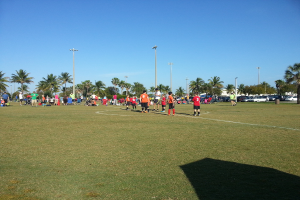 Eine Gruppe von Menschen versammelte sich auf einem grasbewachsenen Spielplatz mit Bäumen, Pfählen und Autos im Hintergrund.