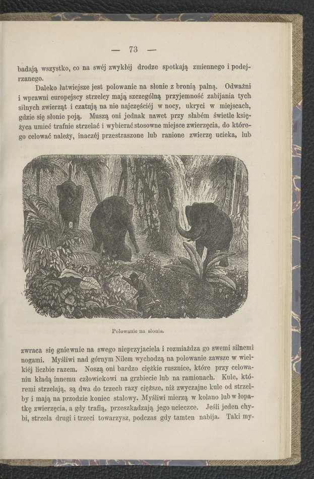 Ein aufgeschlagenes Buch mit einer Zeichnung von zwei Elefanten in einer Dschungellandschaft mit Bäumen und Pflanzen, begleitet von beschreibendem Text auf der Seite.