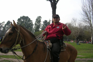 Eine Person, die auf einem Pferd reitet, mit Bäumen, Gras und einigen anderen Menschen im Hintergrund.