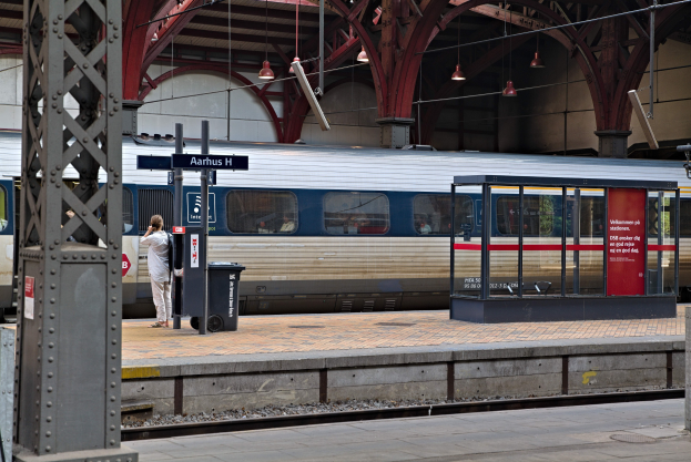 Ein Zug fährt auf einem Bahnsteig ein, auf dem eine Person in der Nähe steht, mit einem Müllcontainer, Pfosten, Informationsanzeigen und Deckenleuchten.