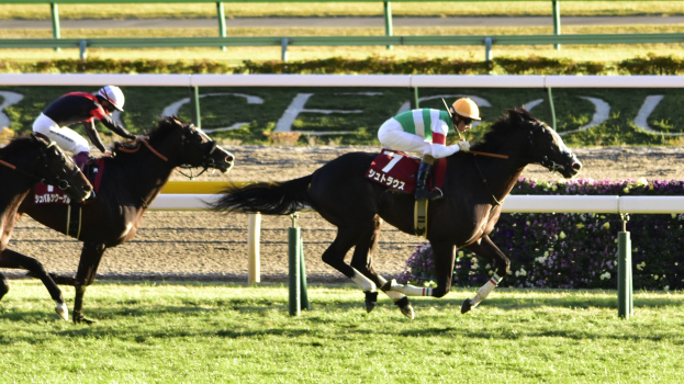 Zwei Jockeys auf Pferden bei einem Rennen auf einer Bahn, die Helme tragen und von grünem Gras, Pflanzen und Blumen umgeben sind. Im Hintergrund gibt es eine Absperrung und eine Tafel.