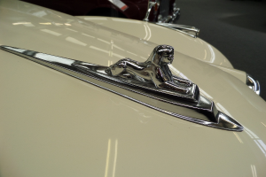 Eine Nahaufnahme der Frontpartie eines Autos mit einem prominenten Logo.