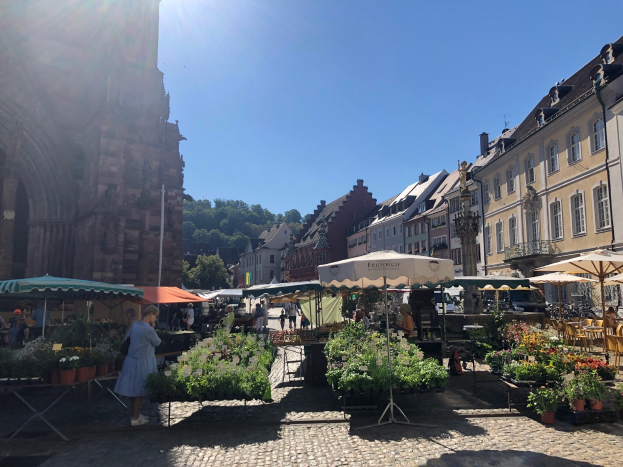 Ein belebter Markt im alten Stadtkern von Heidelberg mit Menschen an Tischen sitzend und stehend, die Blumentöpfe und Schirme halten, vor Häusern, Bäumen und einem klaren blauen Himmel.