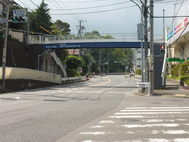 Stadtstraße mit einer Fußgängerbrücke darüber, Fahrzeuge auf der Straße, Strommasten mit Drähten, Verkehrszeichen, Schilder, Gebäude mit Fenstern, Bäume und ein Himmel als Hintergrund.