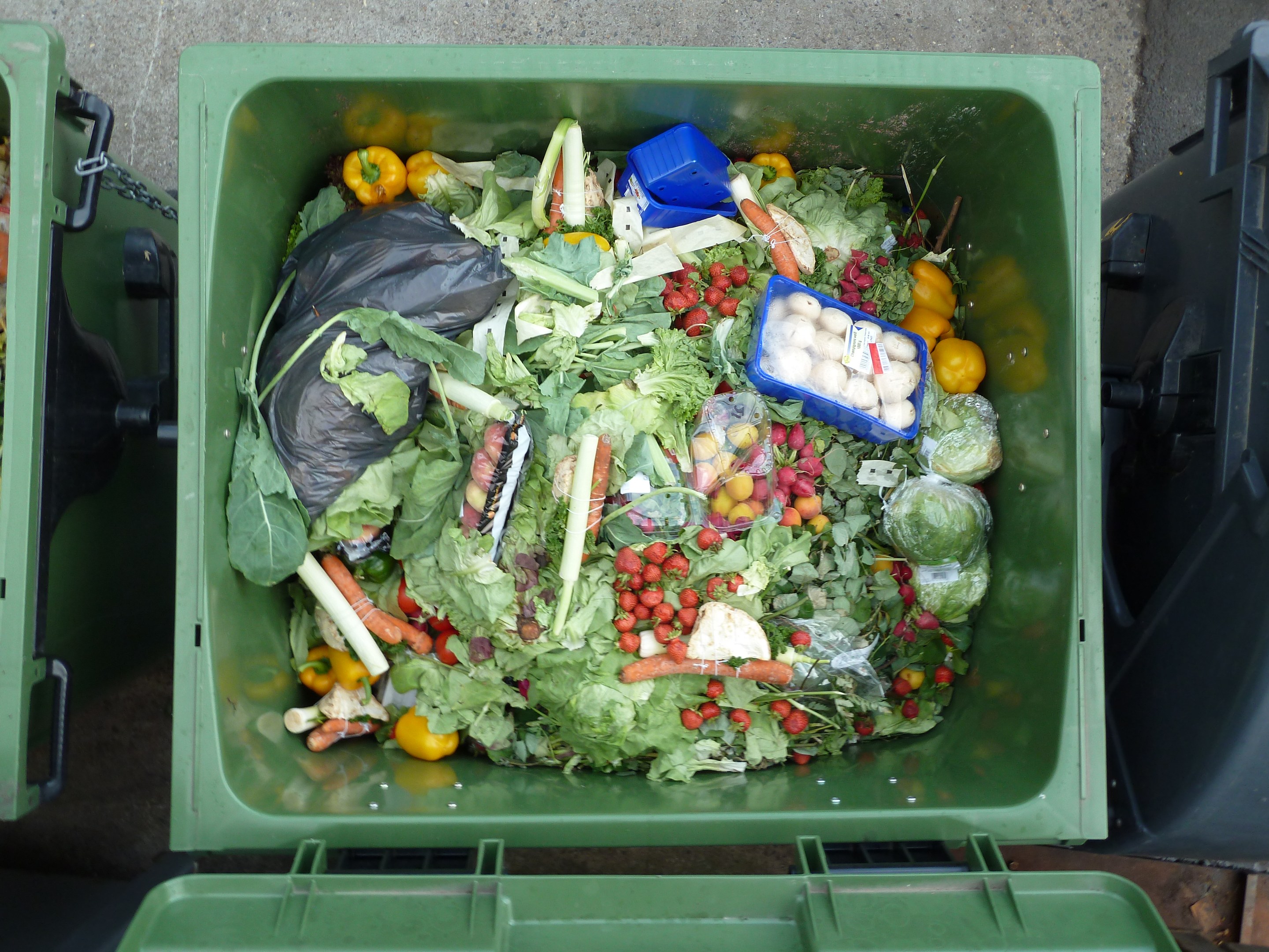 Ein grüner Recyclingmülltonne, der mit Karotten, Paprika, Zwiebeln, Tomaten und anderen bunten Gemüse und Früchten überquillt.